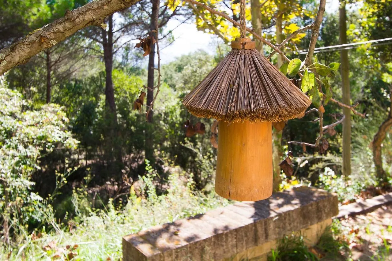Catalunya Casas: Spacious Villa Vera Up To 24 Guests, A Short Drive To Blanes! Girona